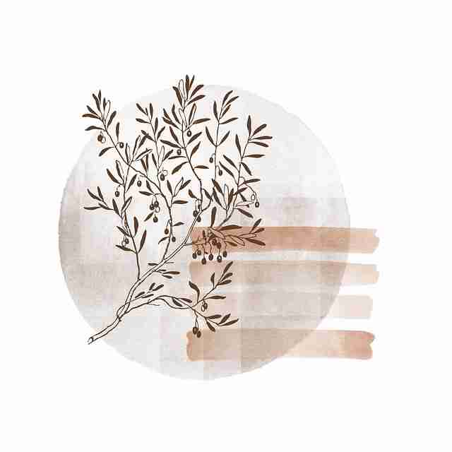 鉴黄师电脑版操作细节展示|真实案例分析报告是怎样炼成的